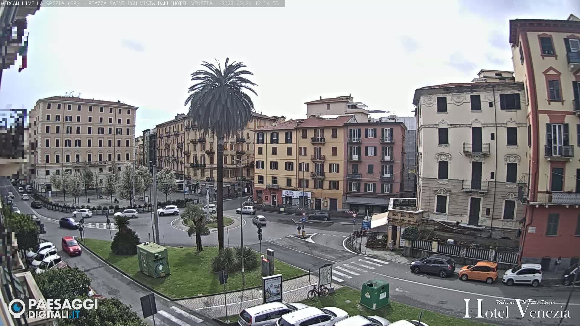 A mostly cloudy day reveals a city square with several multi-story buildings, a palm tree in the center, and cars parked along the sides of the streets.