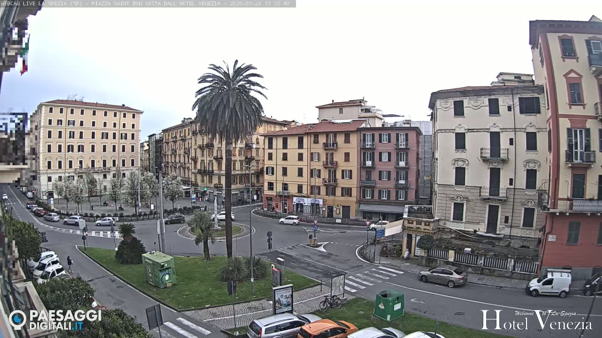 A city square in overcast conditions, surrounded by multi-story buildings, with a palm tree in the center and cars parked along the perimeter.