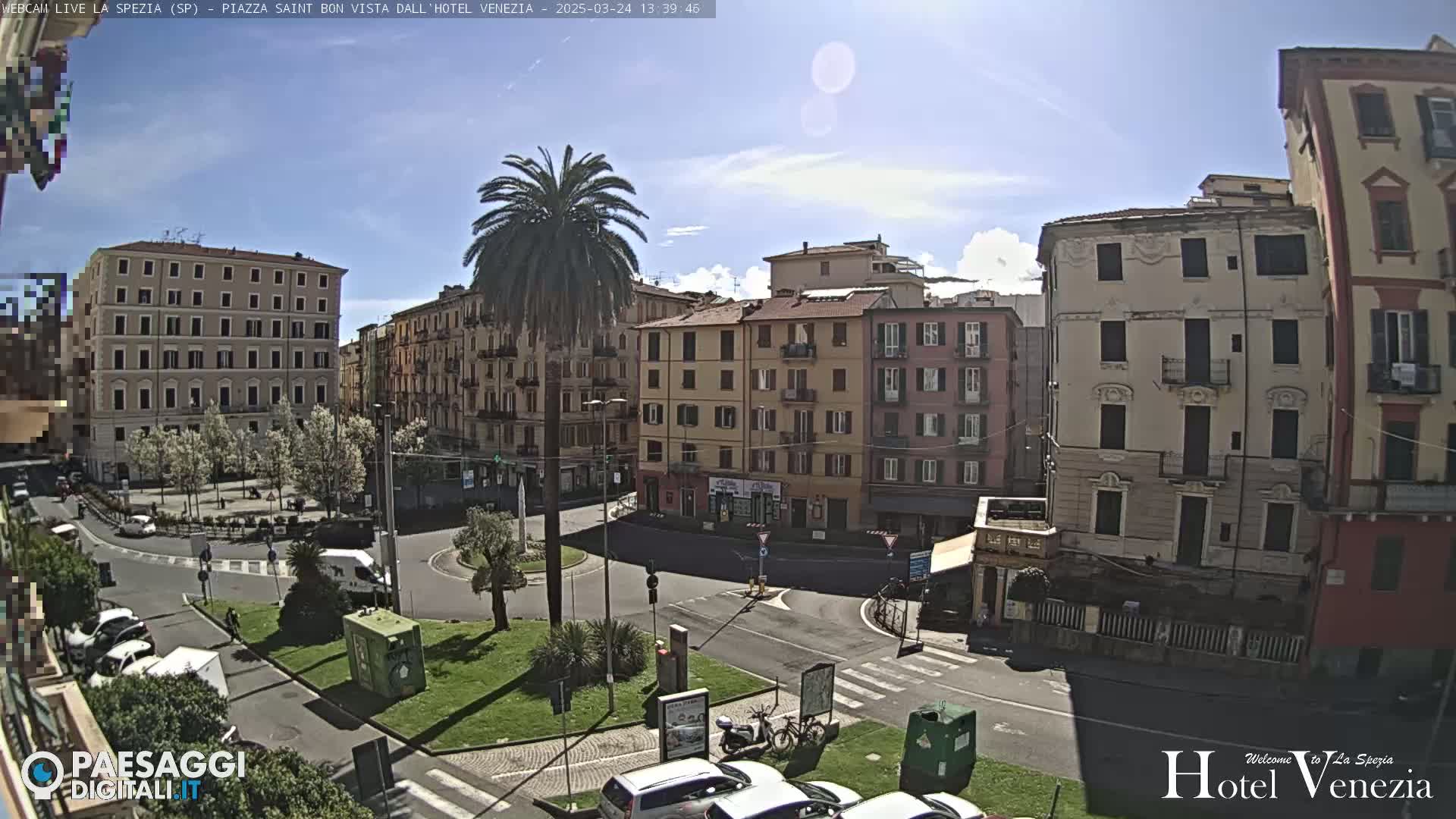 A sunny day in a European city square, with several multi-story buildings surrounding a roundabout with a palm tree in the center, and cars parked along the sides of the street.