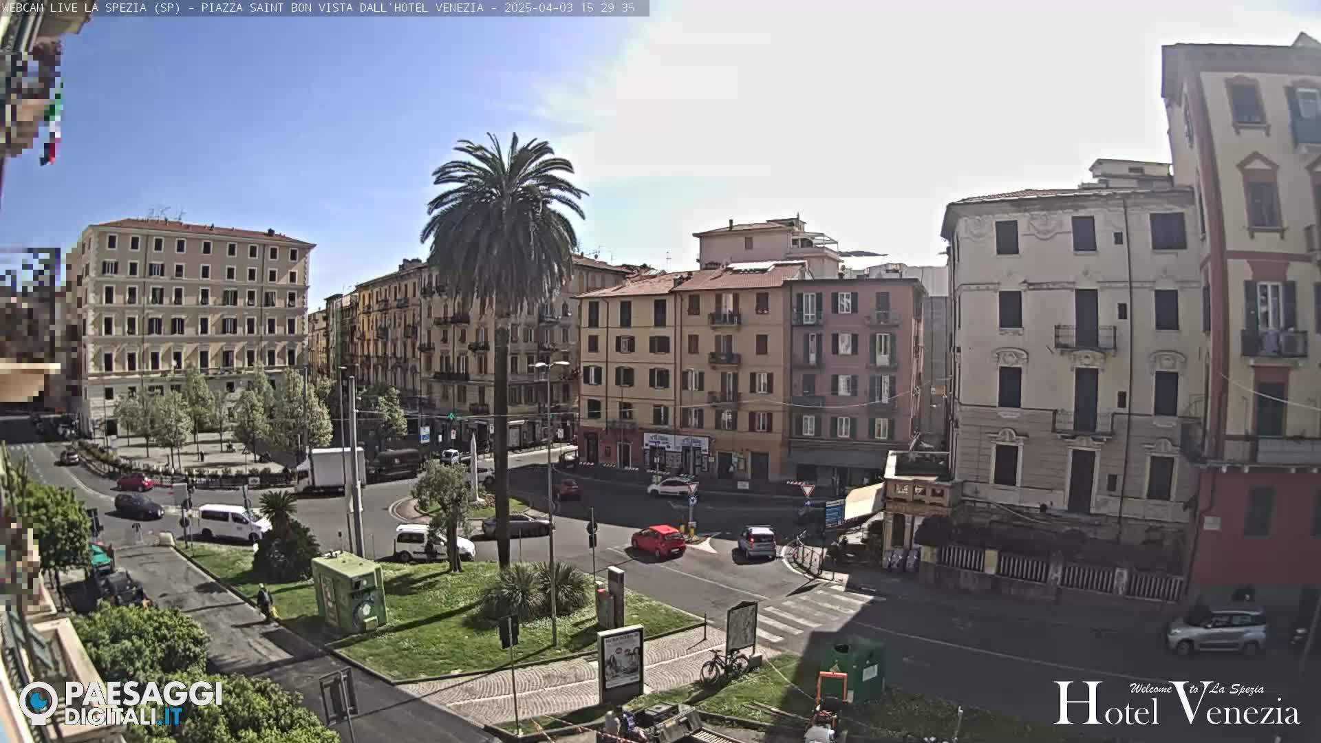 A sunny, high-angle view of a city square with several multi-story buildings, a central traffic circle, and a lone palm tree in the middle of a small grassy area.