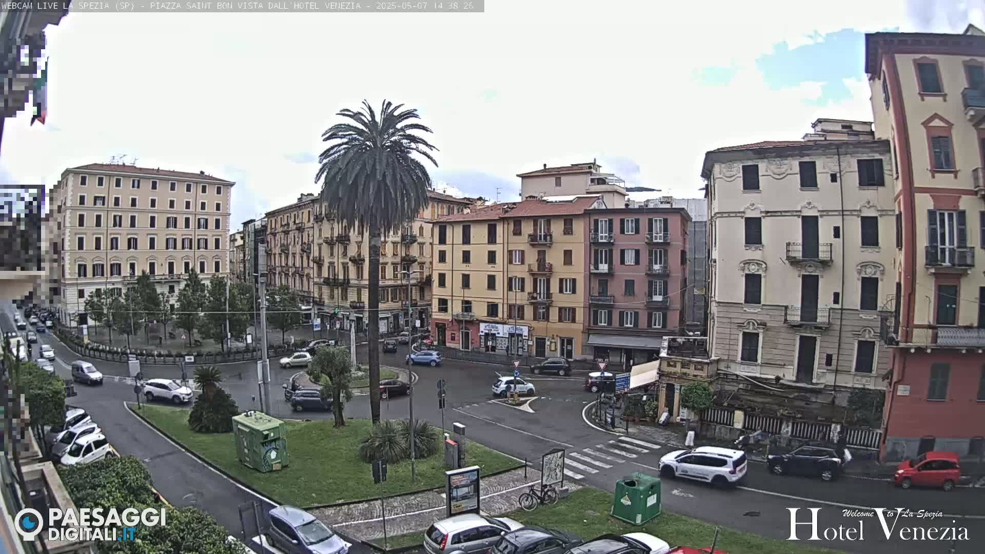 A city square, under an overcast sky, is surrounded by multi-story buildings and contains several cars and a lone palm tree in the center.