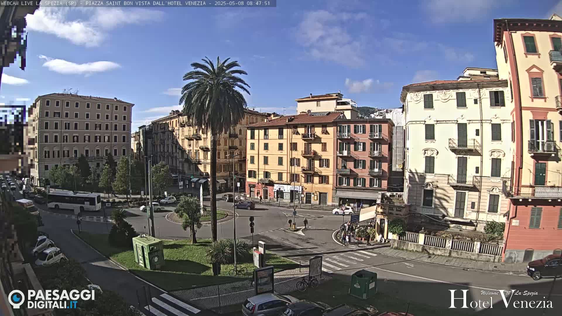 A sunny city square, featuring several multi-story buildings, a roundabout with cars, and a prominent palm tree in the center.