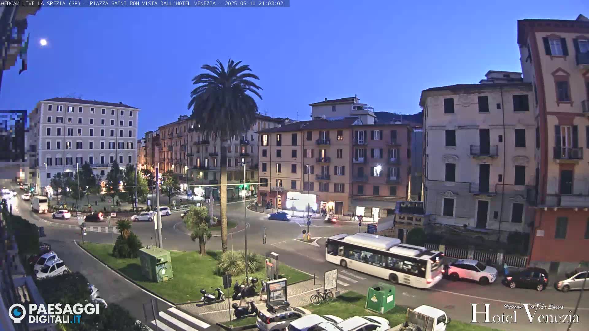A twilight view of a city square with several multi-story buildings, a few cars and a bus, and a central palm tree, under a clear, dark blue sky.