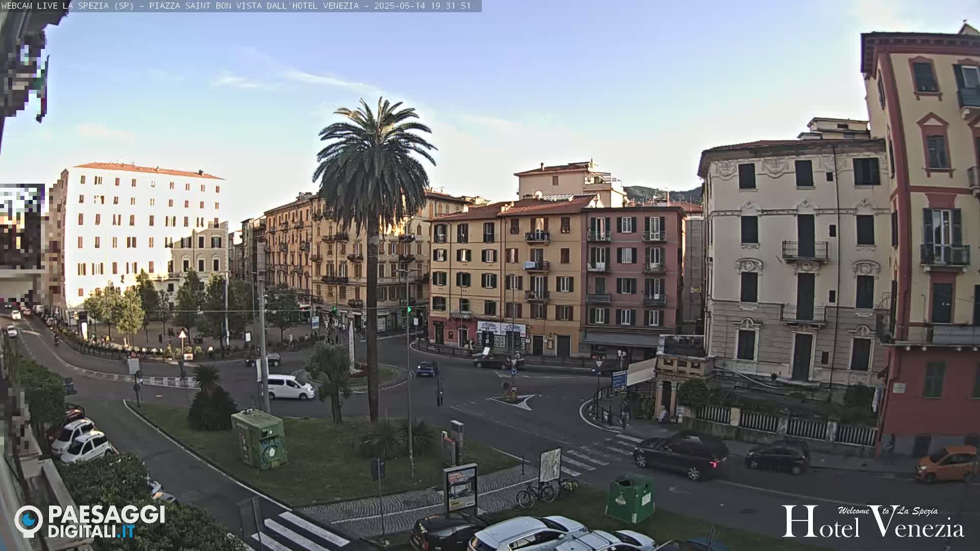 A sunny day shows a city square with several multi-story buildings, cars, and a lone palm tree in the center.