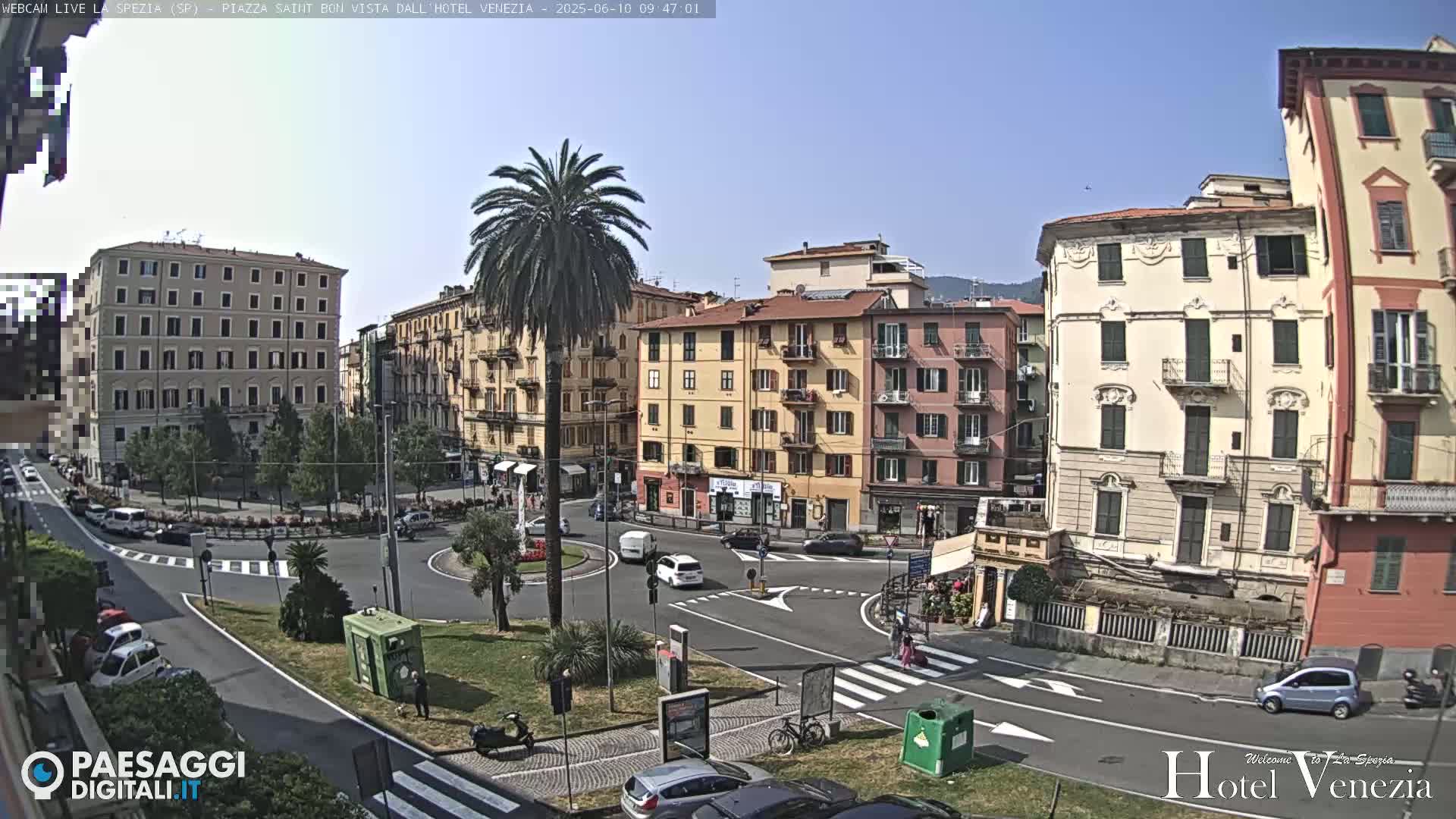 A sunny day in a European city square shows several multi-story buildings, cars, pedestrians, and a tall palm tree in the center of a roundabout.
