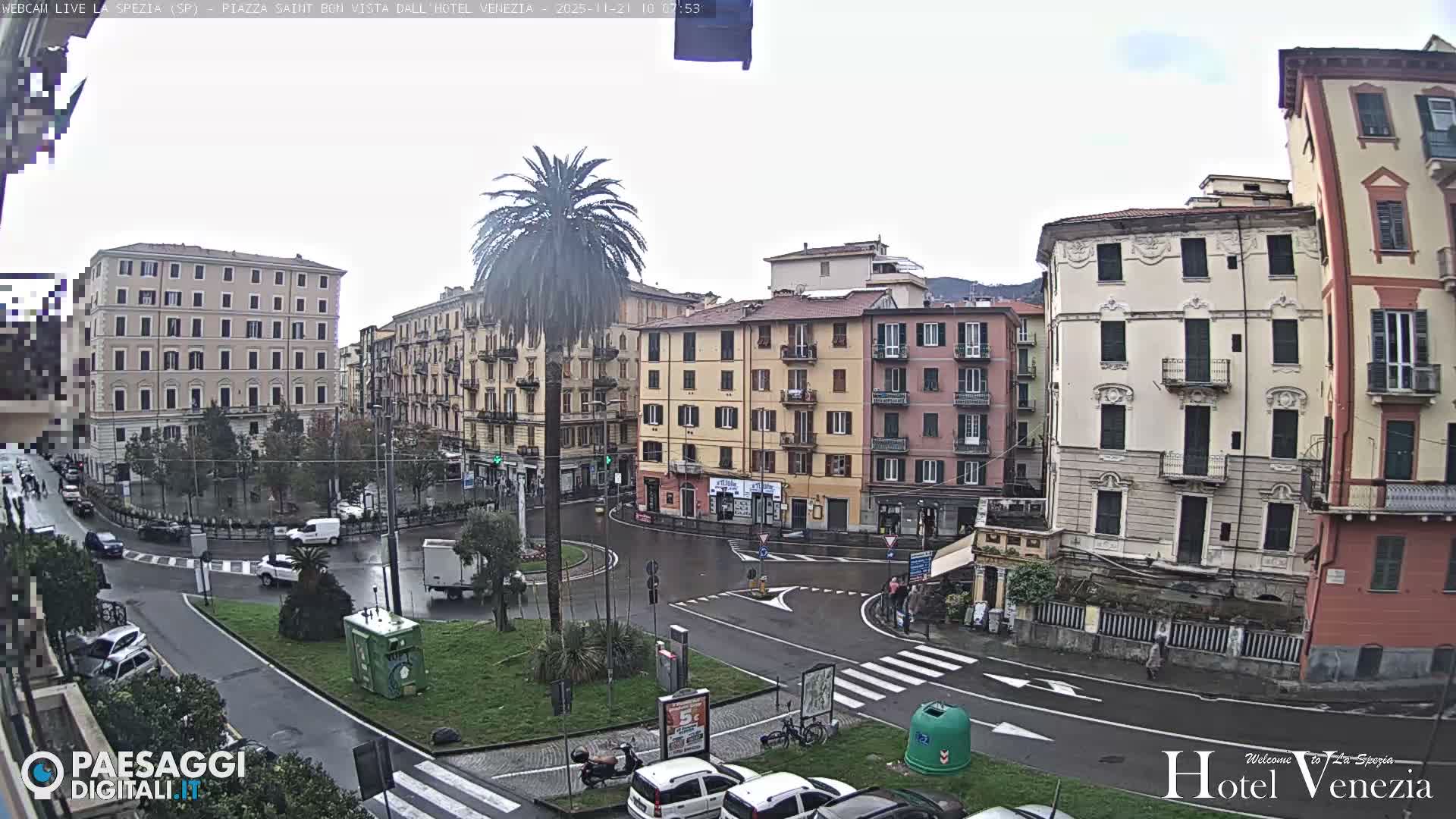 On an overcast day, a European city square features a large palm tree, numerous colorful multi-story buildings, a street with a central roundabout, and vehicles and pedestrians on damp roads.