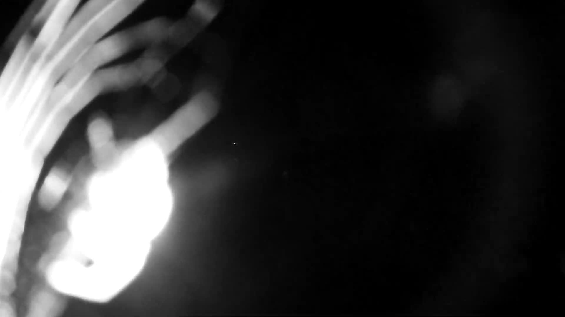 Plougasnou, Anse du Diben Cove Live Cam - Le Diben, Plougasnou, Morlaix, Finistere, Bretagne, France