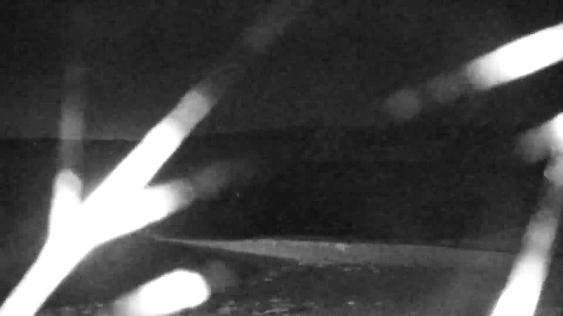 Plougasnou, Anse du Diben Cove Live Cam - Le Diben, Plougasnou, Morlaix, Finistere, Bretagne, France