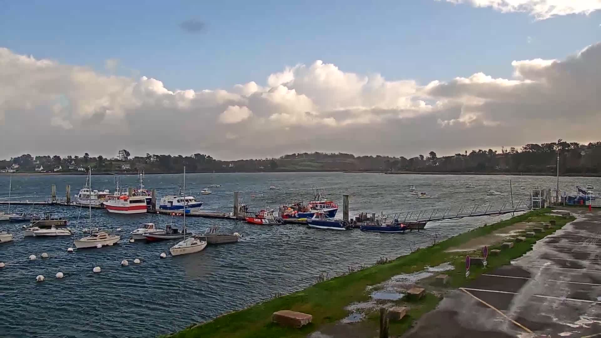 A partially sunny and windy day at a busy harbor features numerous boats docked and moored in choppy water, with fluffy clouds in the sky and a wet, grassy shoreline in the foreground.
