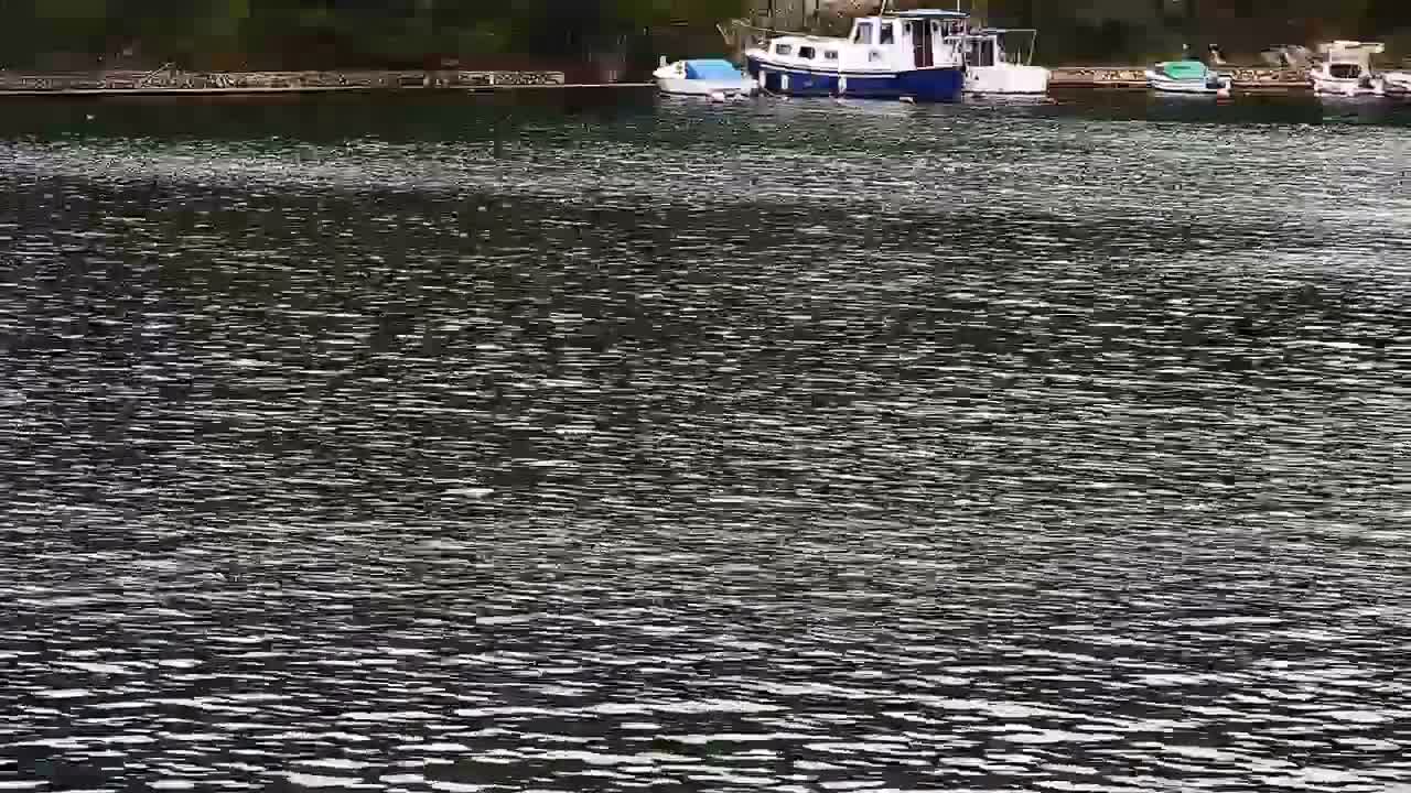 Zaton Village & Marine Coast Cove Live Cam - Zaton, Sibenik-Knin, Crotia