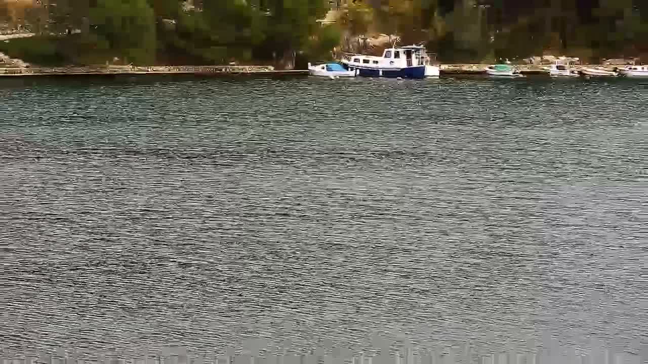 Zaton Village & Marine Coast Cove Live Cam - Zaton, Sibenik-Knin, Crotia