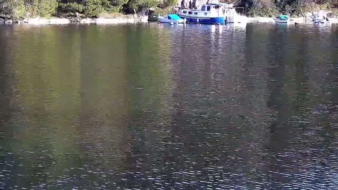 Zaton Village & Marine Coast Cove Live Cam - Zaton, Sibenik-Knin, Crotia