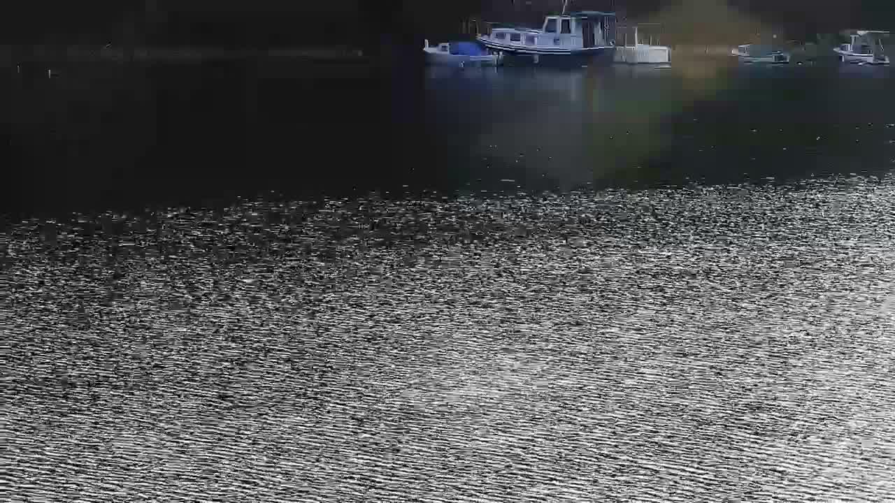 Zaton Village & Marine Coast Cove Live Cam - Zaton, Sibenik-Knin, Crotia