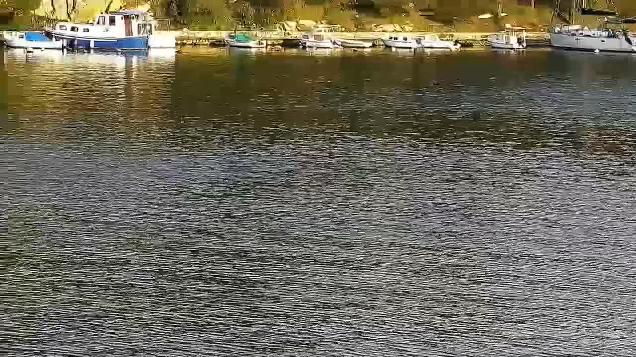 Zaton Village & Marine Coast Cove Live Cam - Zaton, Sibenik-Knin, Crotia