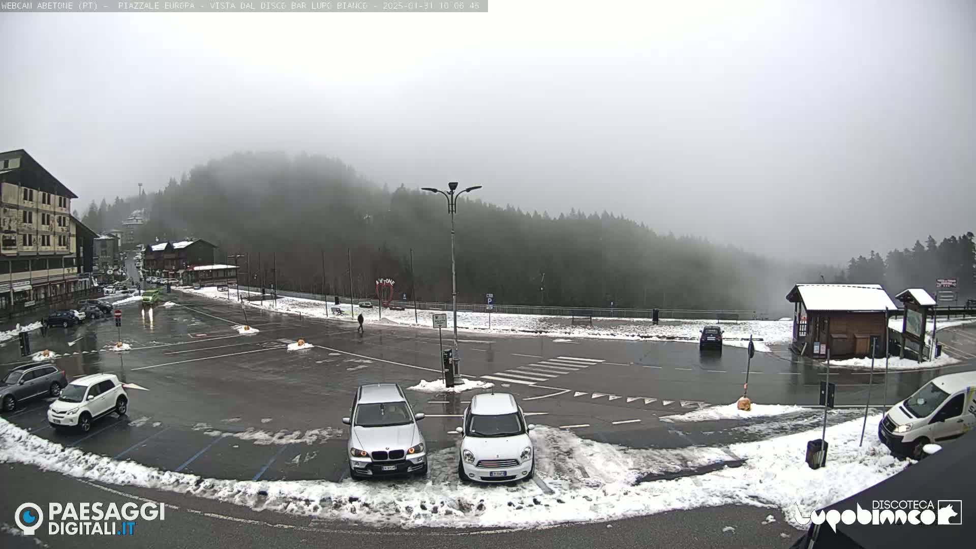 A foggy parking lot with several cars, surrounded by snow-covered ground and a snow-dusted forest in the background.