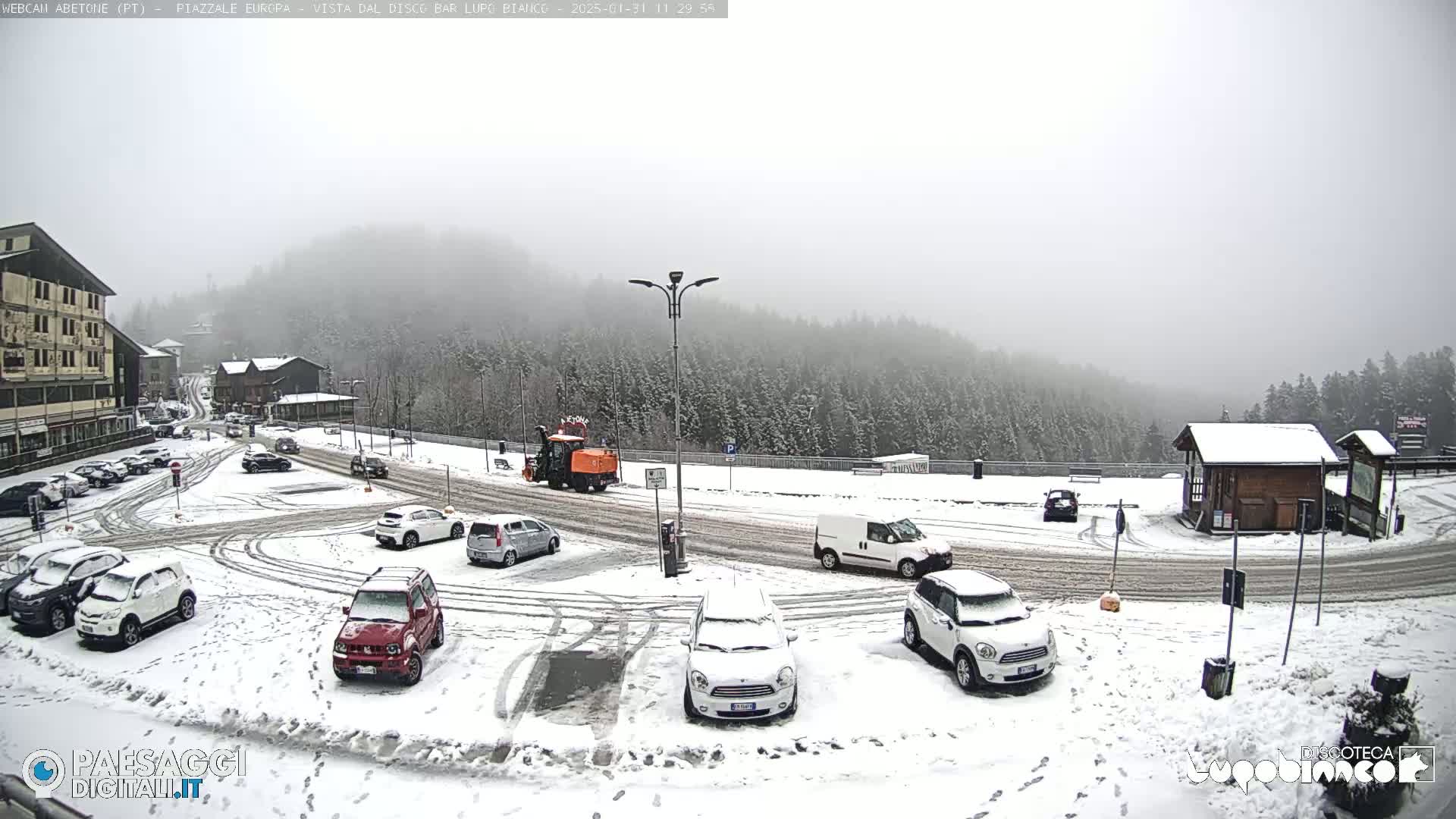 A snow-covered parking lot with several cars, a snow plow, and a van, is situated in front of a building and a forested hillside under foggy, snowy conditions.