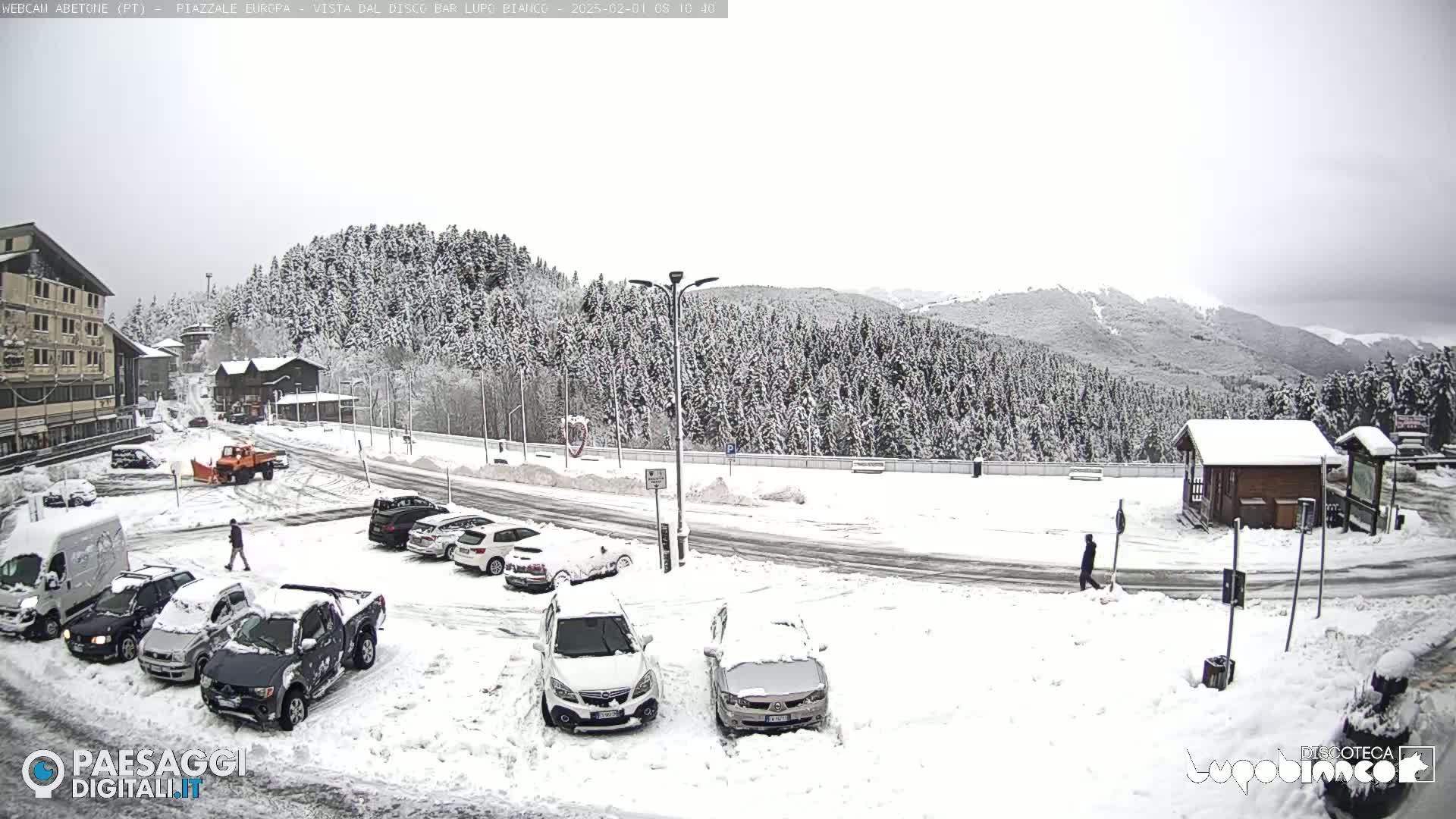 A snow-covered parking lot with several cars and a snowplow, situated in front of a snow-covered forest and mountains under an overcast sky.