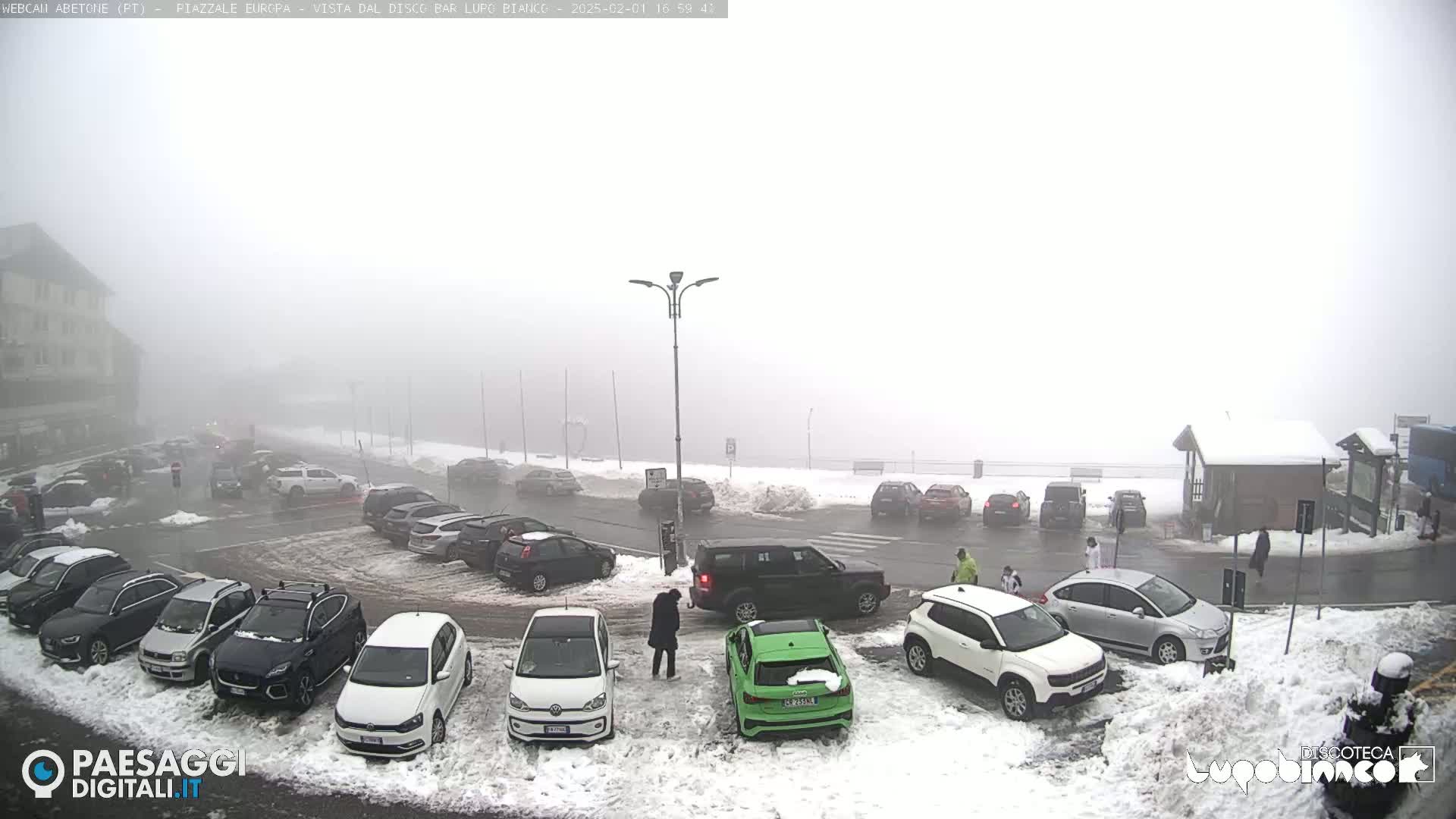 A snow-covered parking lot filled with cars is visible in a thick fog.