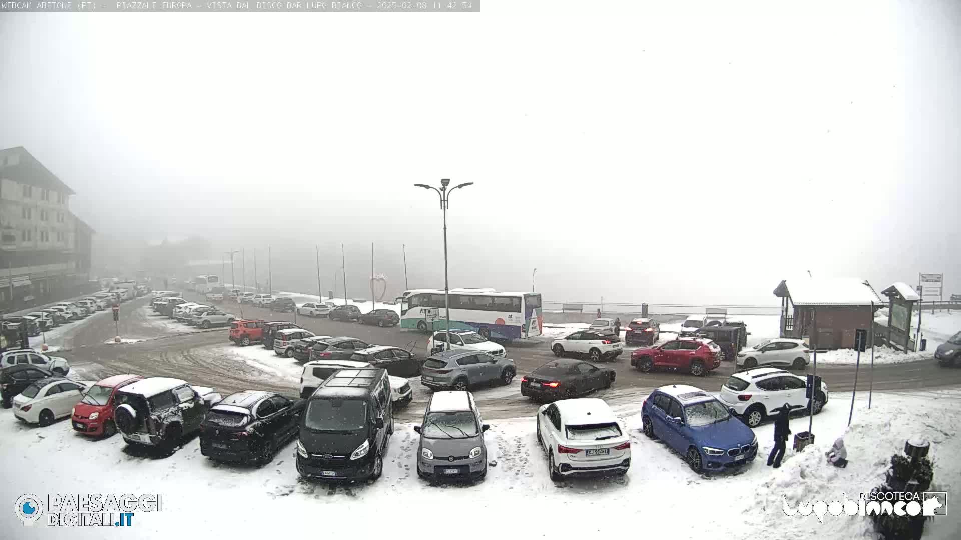 A snow-covered parking lot filled with cars and a bus, under a foggy, snowy sky.