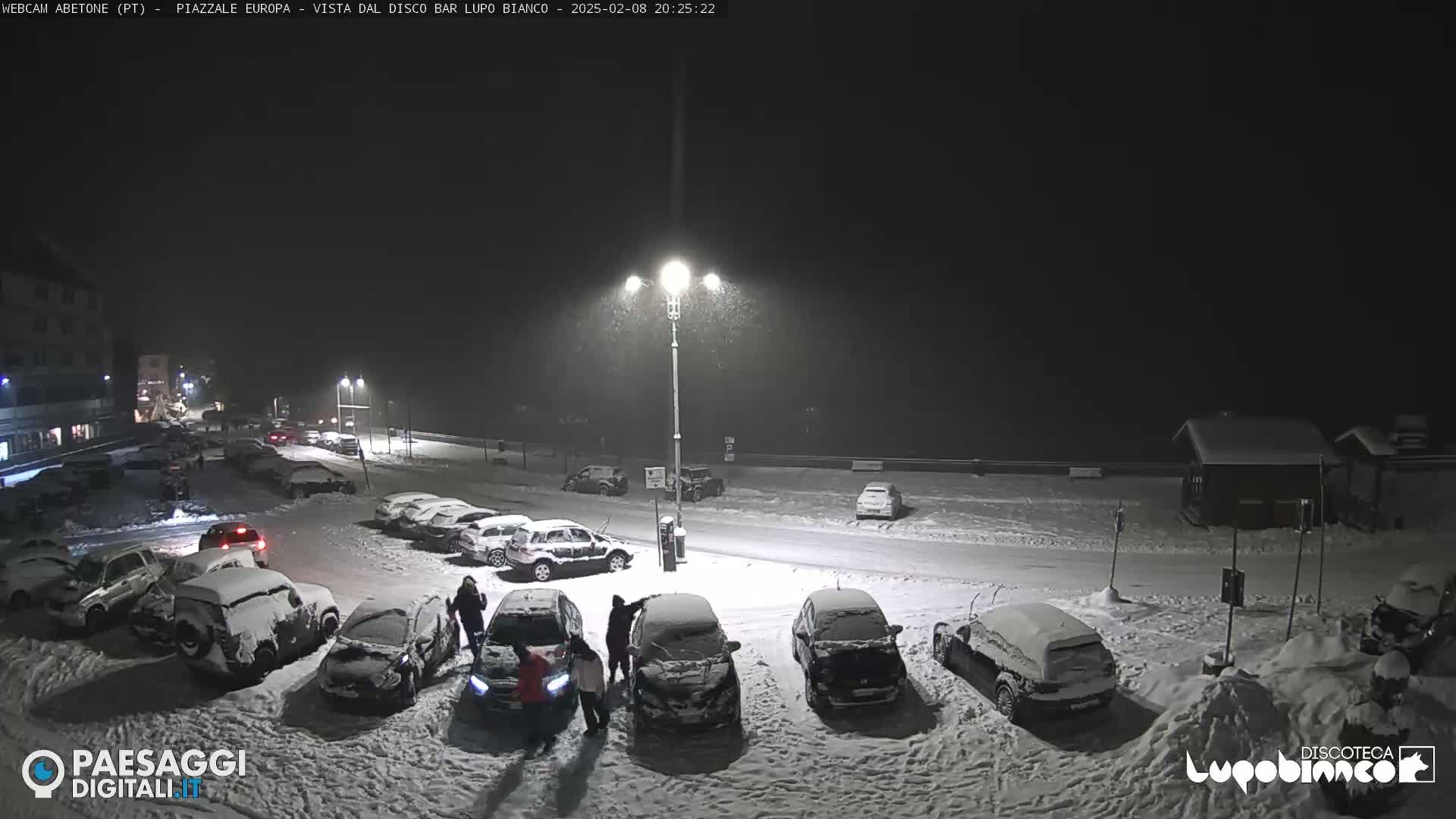 A snow-covered parking lot at night with several cars parked, under a light snowfall.