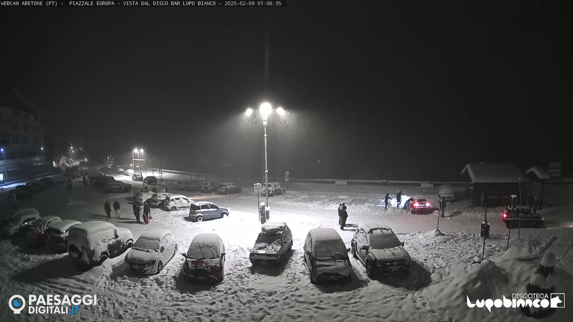 A snow-covered parking lot at night with several cars under a light snowfall, illuminated by streetlights.