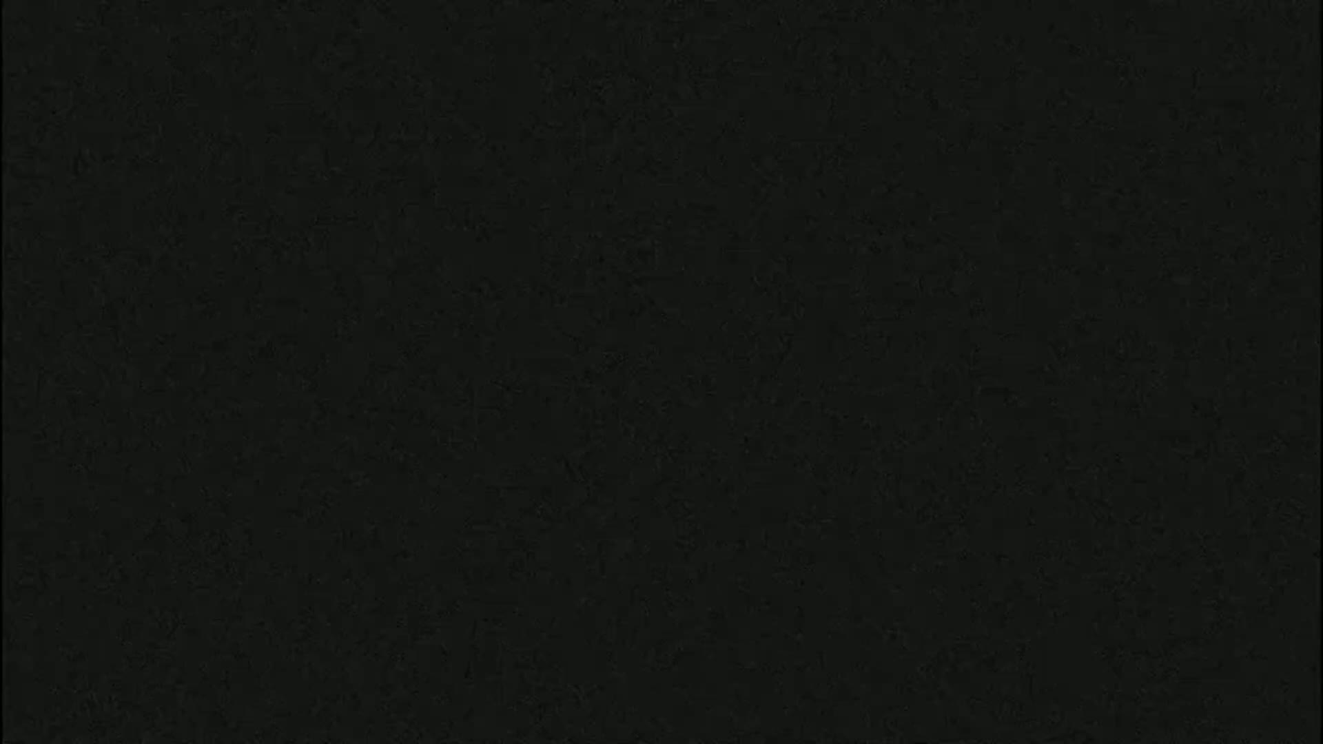 The image is a uniformly dark-colored textured surface.