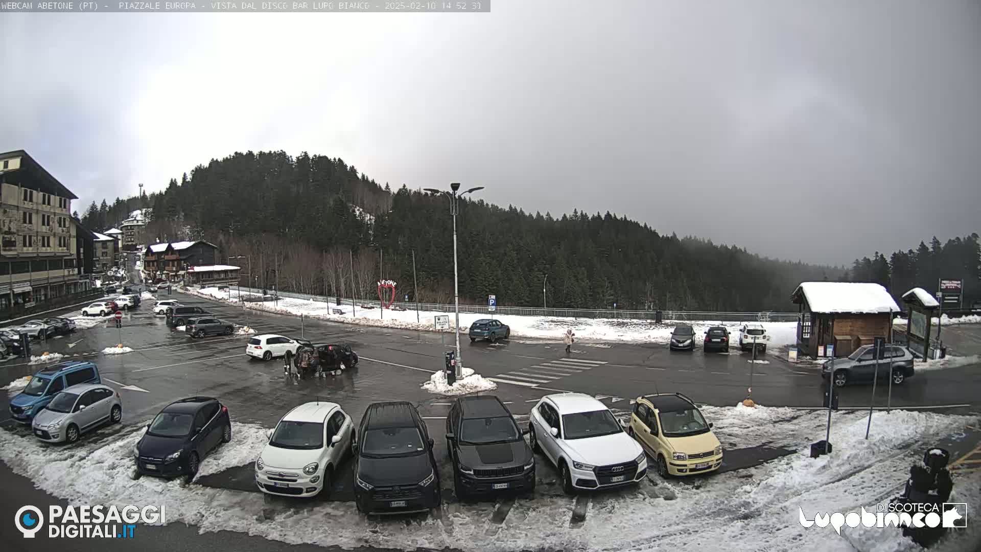 A parking lot with several cars is situated in front of a building and a snow-covered forest under an overcast sky.