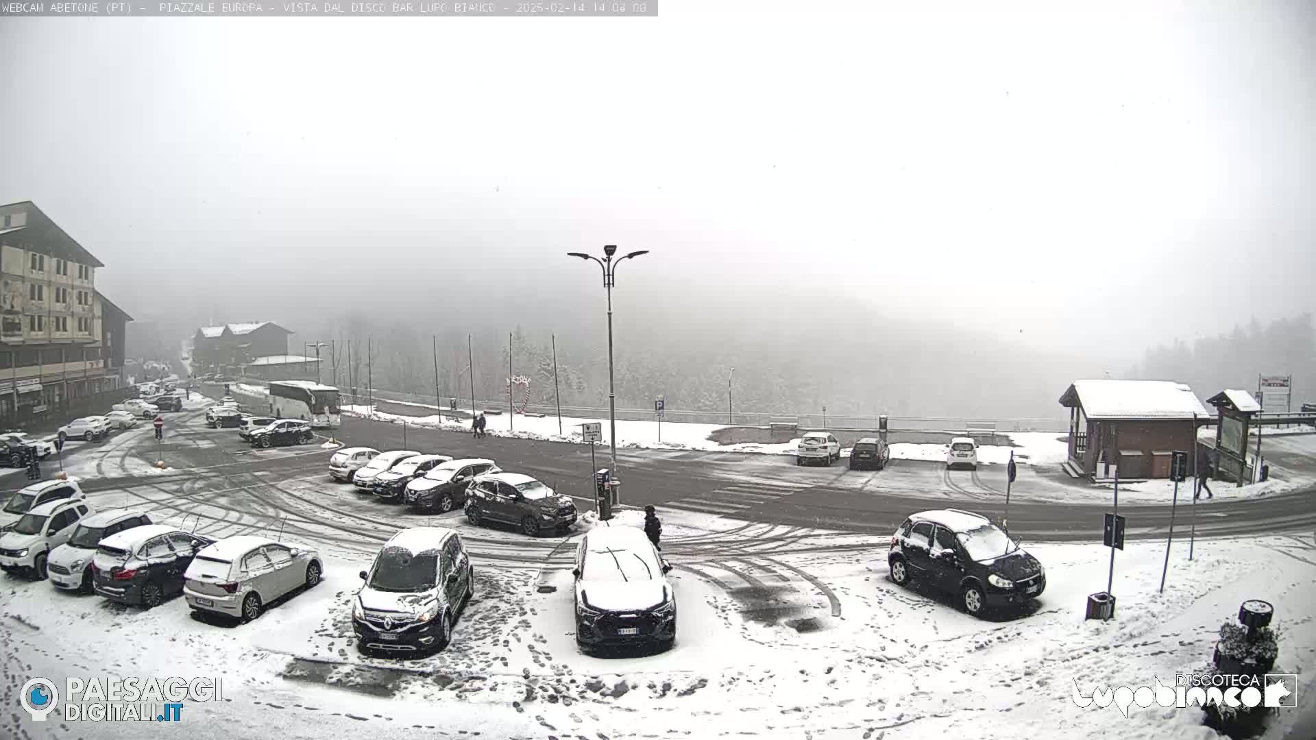 A snow-covered parking lot and roadway are surrounded by snow-covered buildings and trees in foggy conditions.