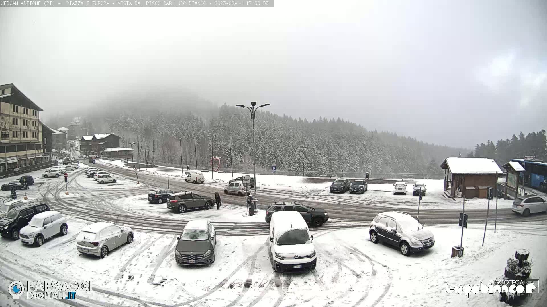 A snow-covered parking lot with cars and a building, surrounded by a snow-covered forest under an overcast sky.