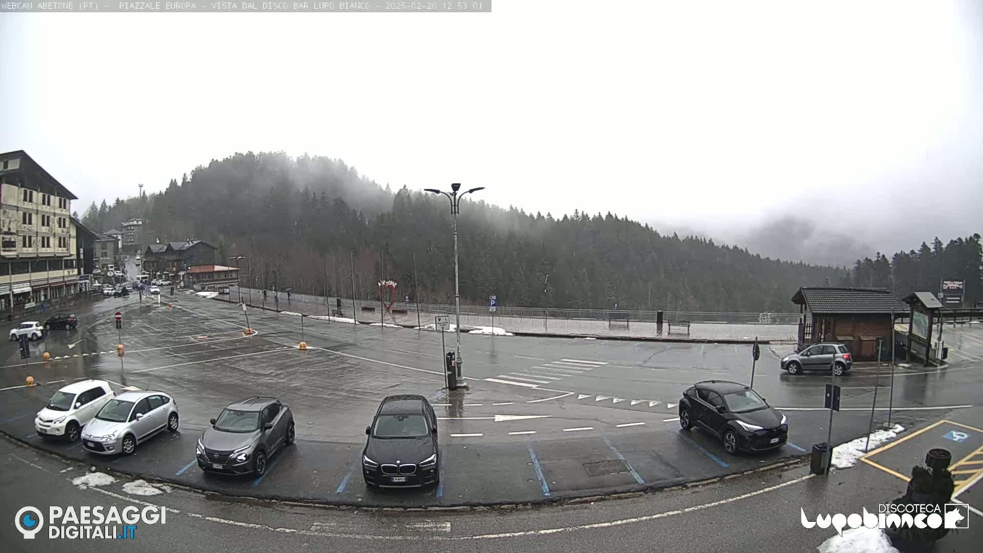 A wet parking lot with several cars is situated in front of a building and a forested hillside under a gray, overcast sky.