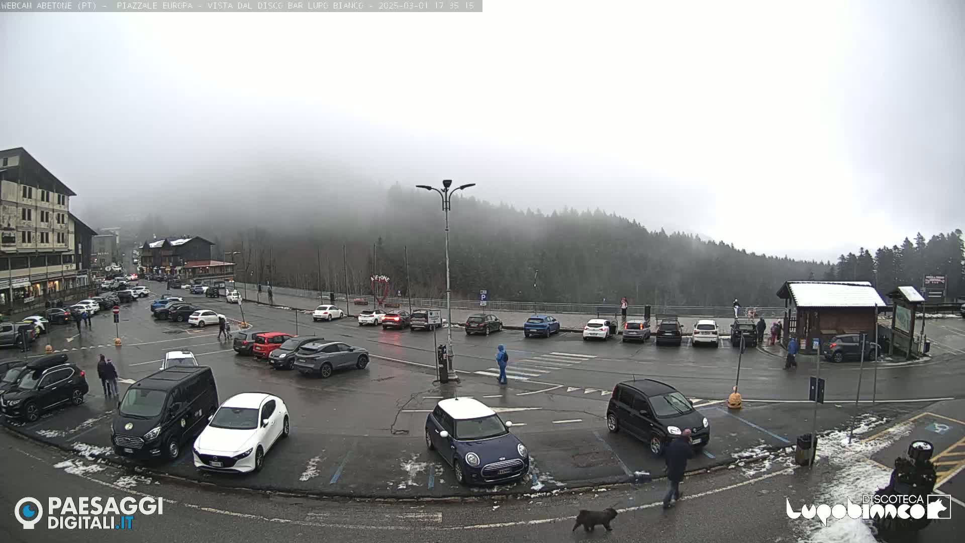 A foggy parking lot with numerous cars, a few pedestrians, and a dog, is situated in front of a building and a wooded hillside.