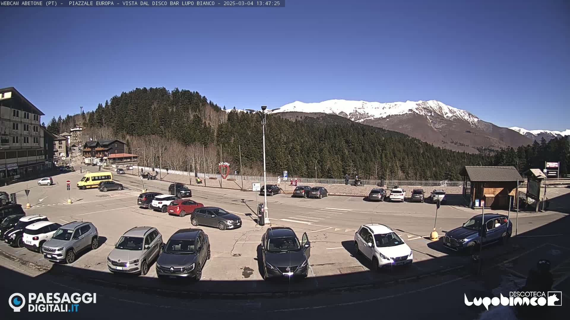 A sunny parking lot with numerous cars is situated in front of a mountain range with snow-capped peaks, surrounded by evergreen trees.
