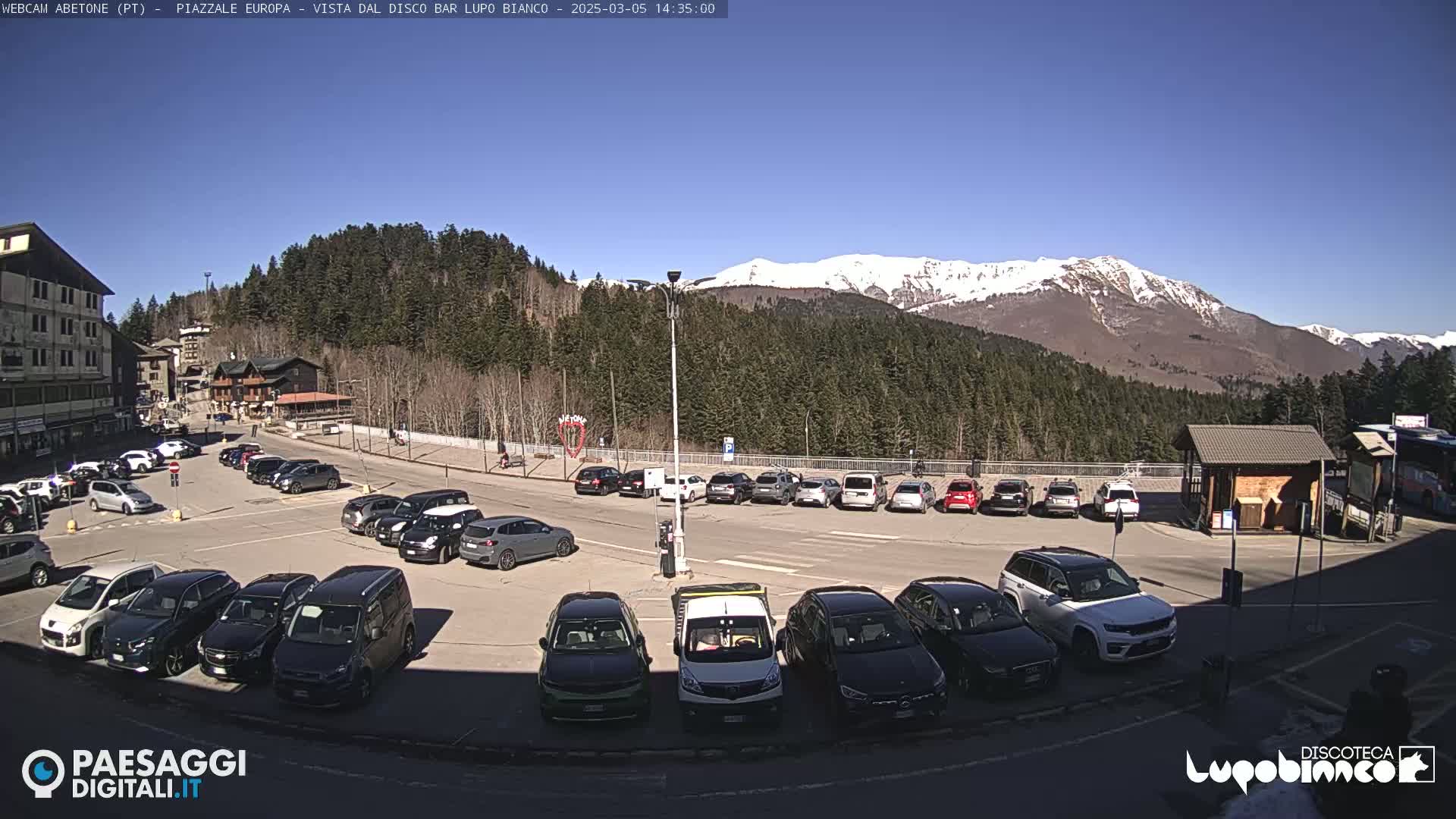 A sunny day reveals a parking lot full of cars, situated in front of buildings and trees with snow-capped mountains in the background.