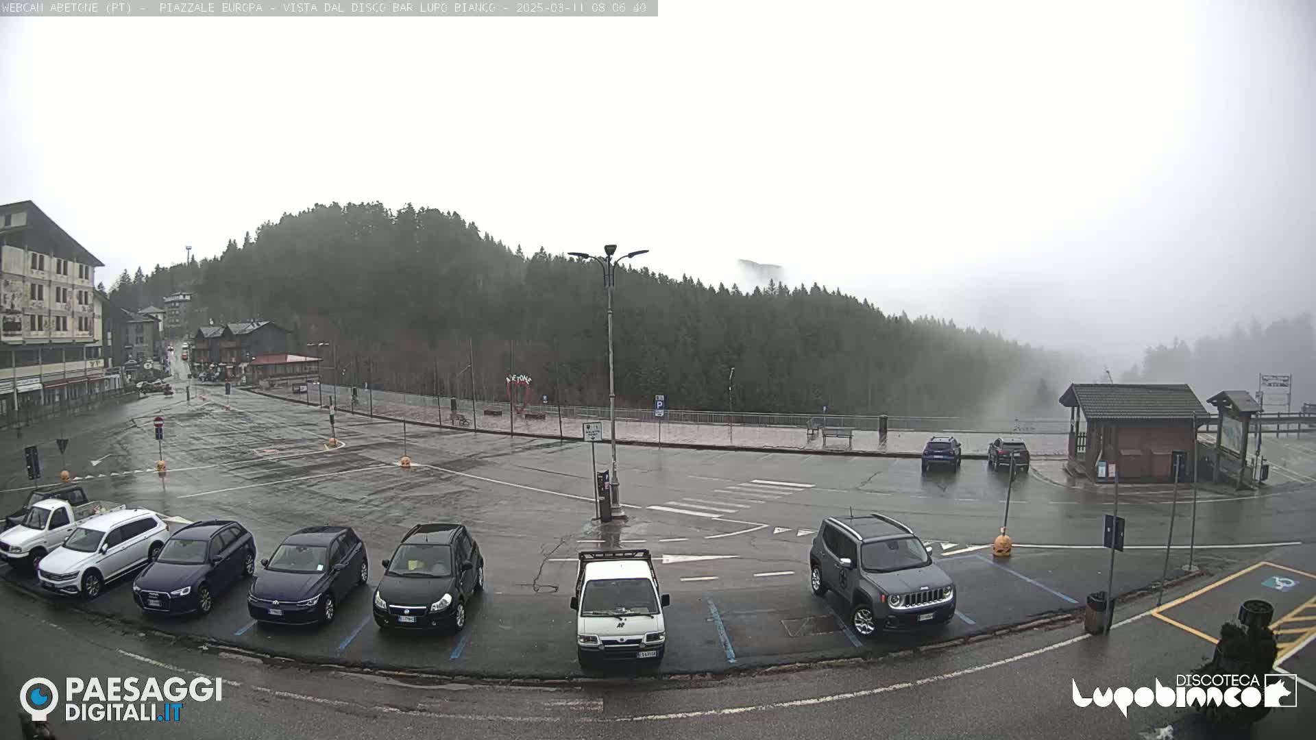 A wet parking lot with several cars is seen, surrounded by buildings and a foggy forest.