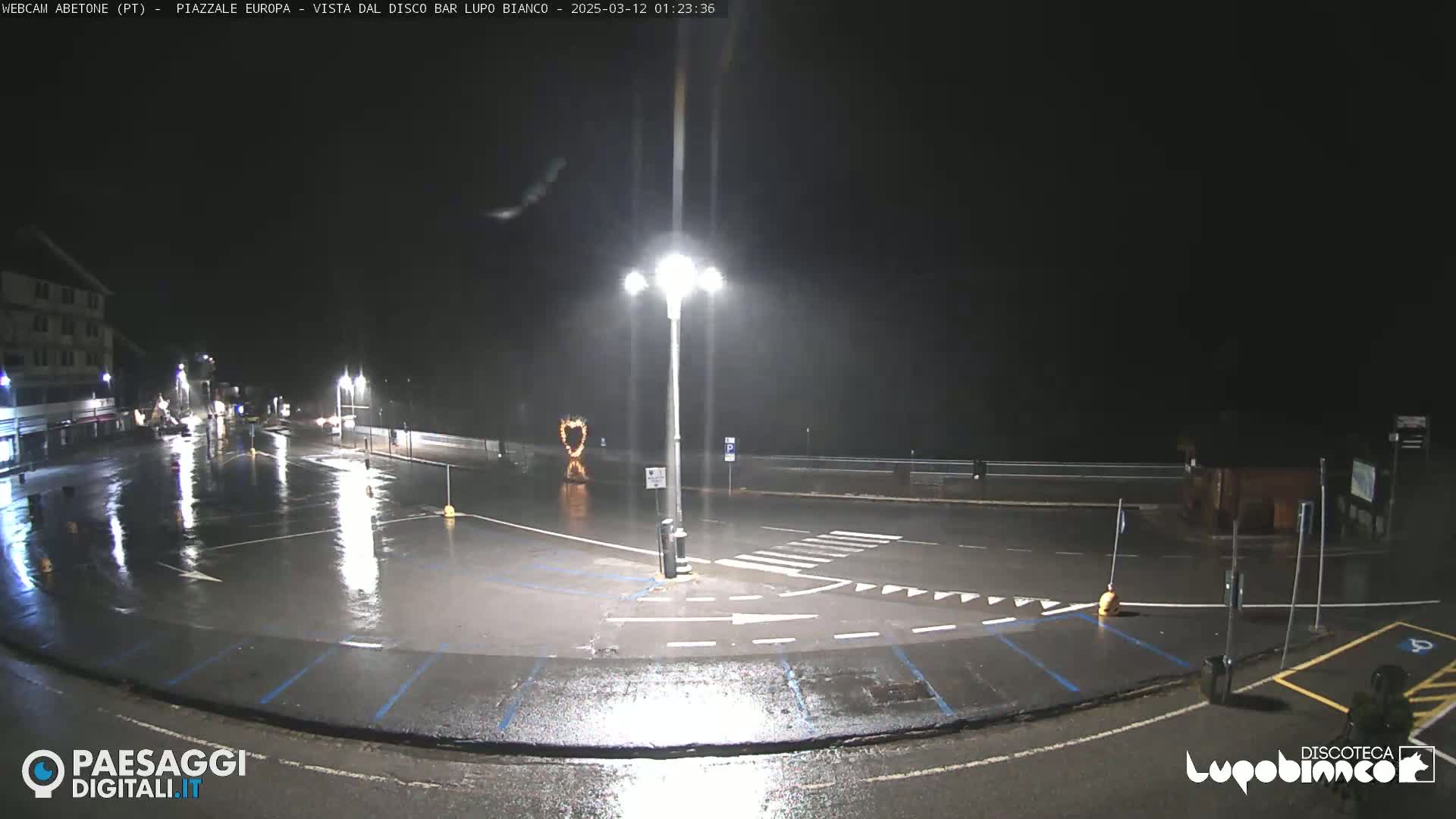 A rain-slicked, empty parking lot and roadway are illuminated by streetlights at night.