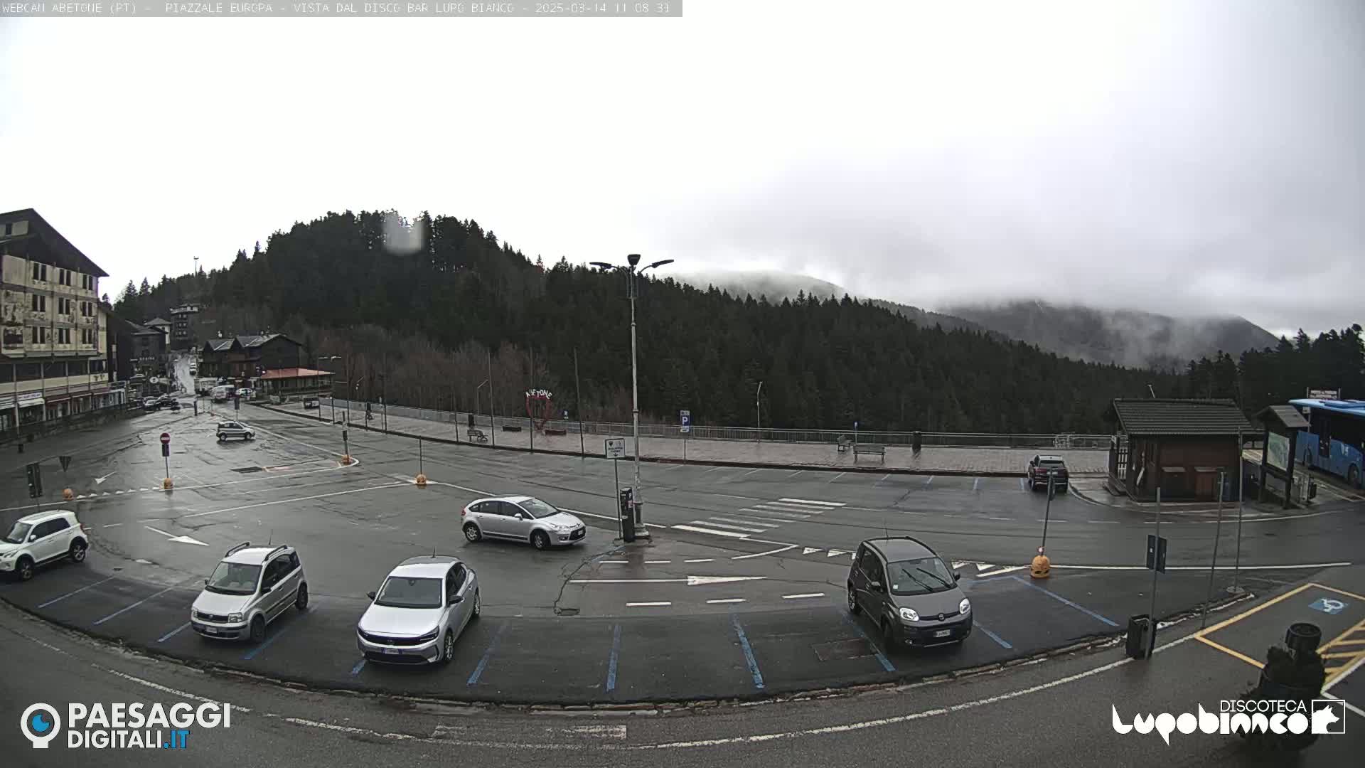 A wet parking lot with several cars is situated in front of a building and a forested hillside shrouded in fog.