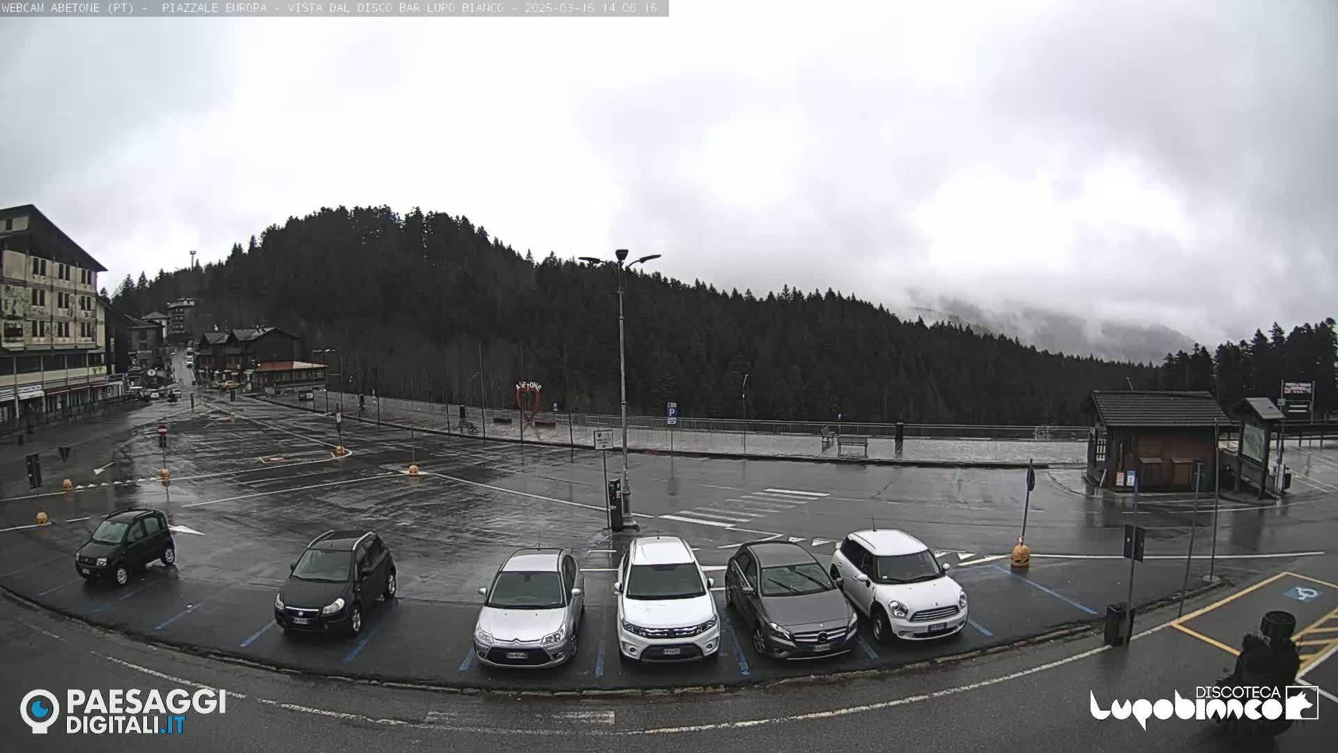 A wet, overcast parking lot with several cars parked, overlooks a dark green forest covered in fog.