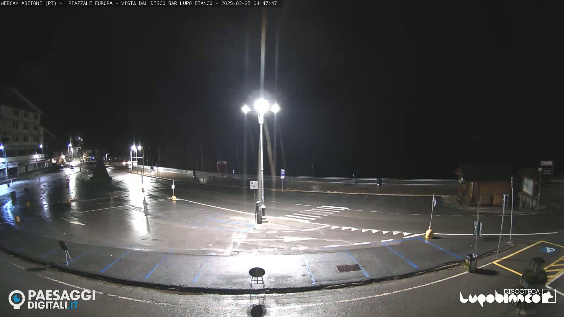 A wet, empty parking lot and roadway are illuminated at night by streetlights.
