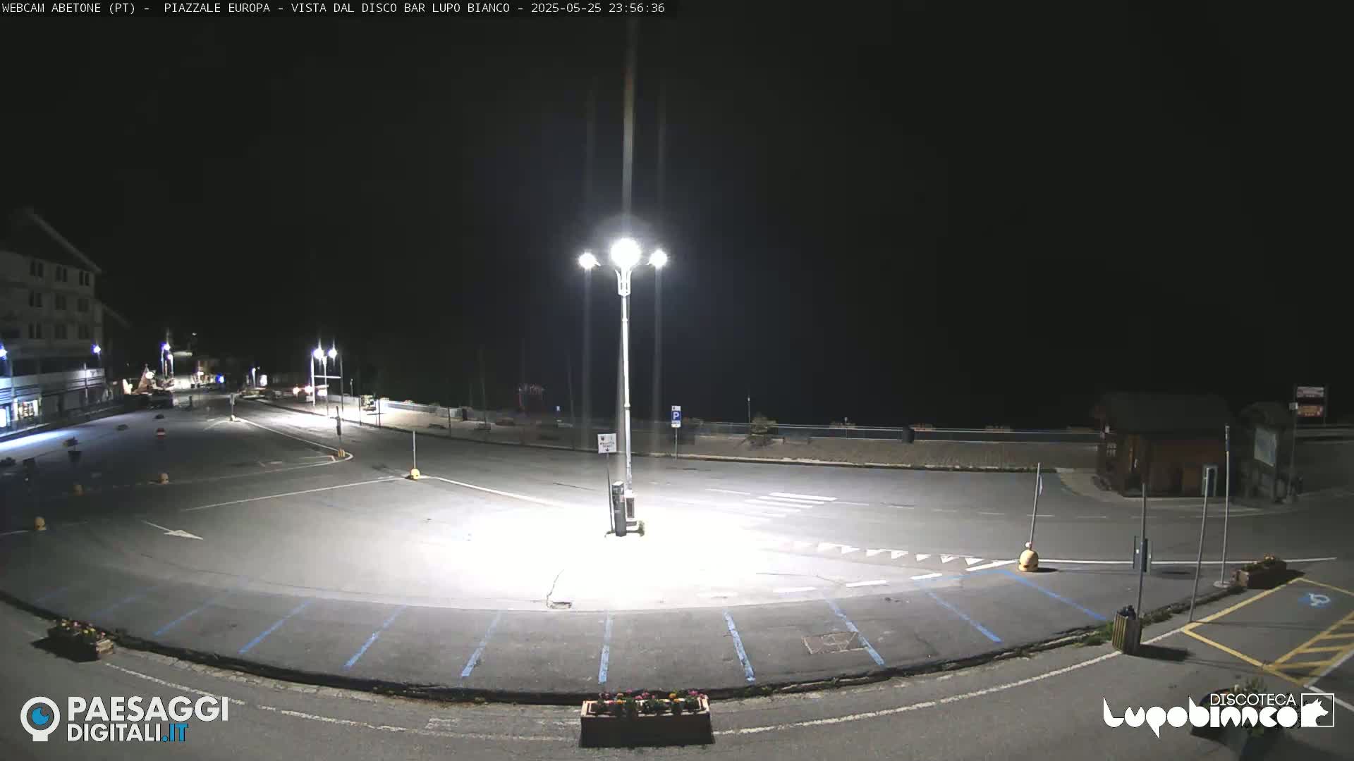 An empty, asphalt parking lot is illuminated at night by several tall lampposts.