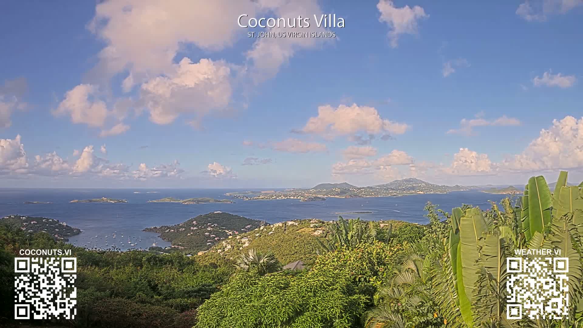 This nighttime image displays an expansive view of a city illuminated by lights spread across hillsides and along a coastline, seen from an elevated perspective with dense vegetation in the foreground under a cloudy sky.