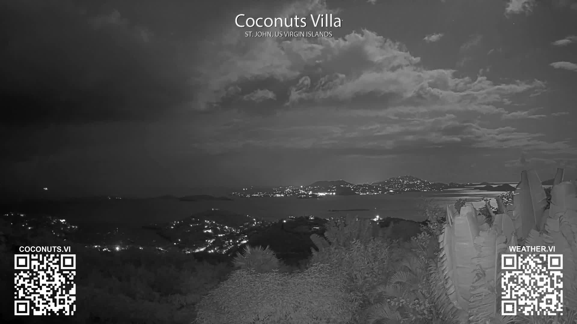A black and white nighttime view shows city lights twinkling across a body of water from a hillside covered in vegetation, under a partly cloudy sky.