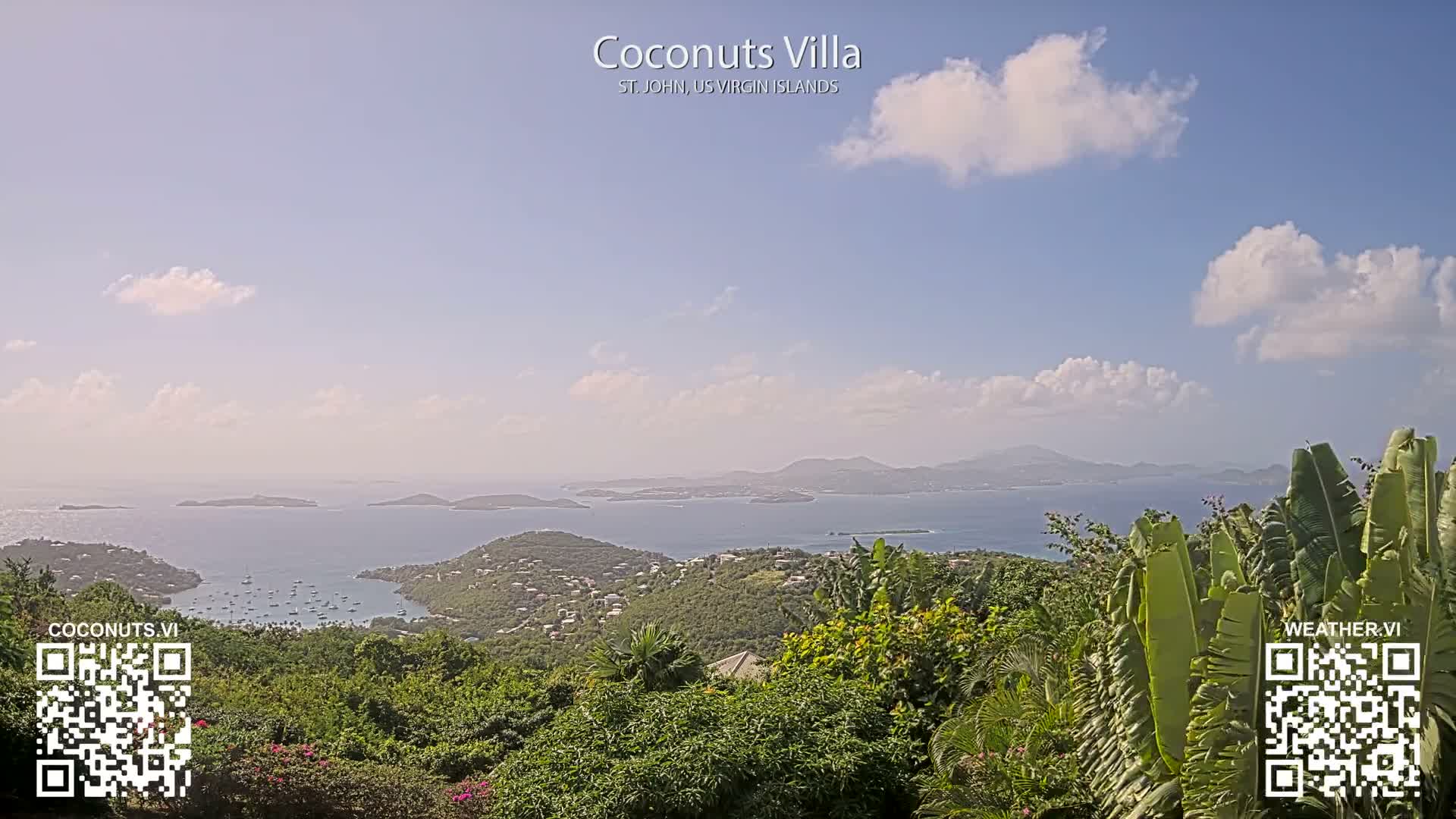 A black and white nighttime view shows city lights twinkling across a body of water from a hillside covered in vegetation, under a partly cloudy sky.