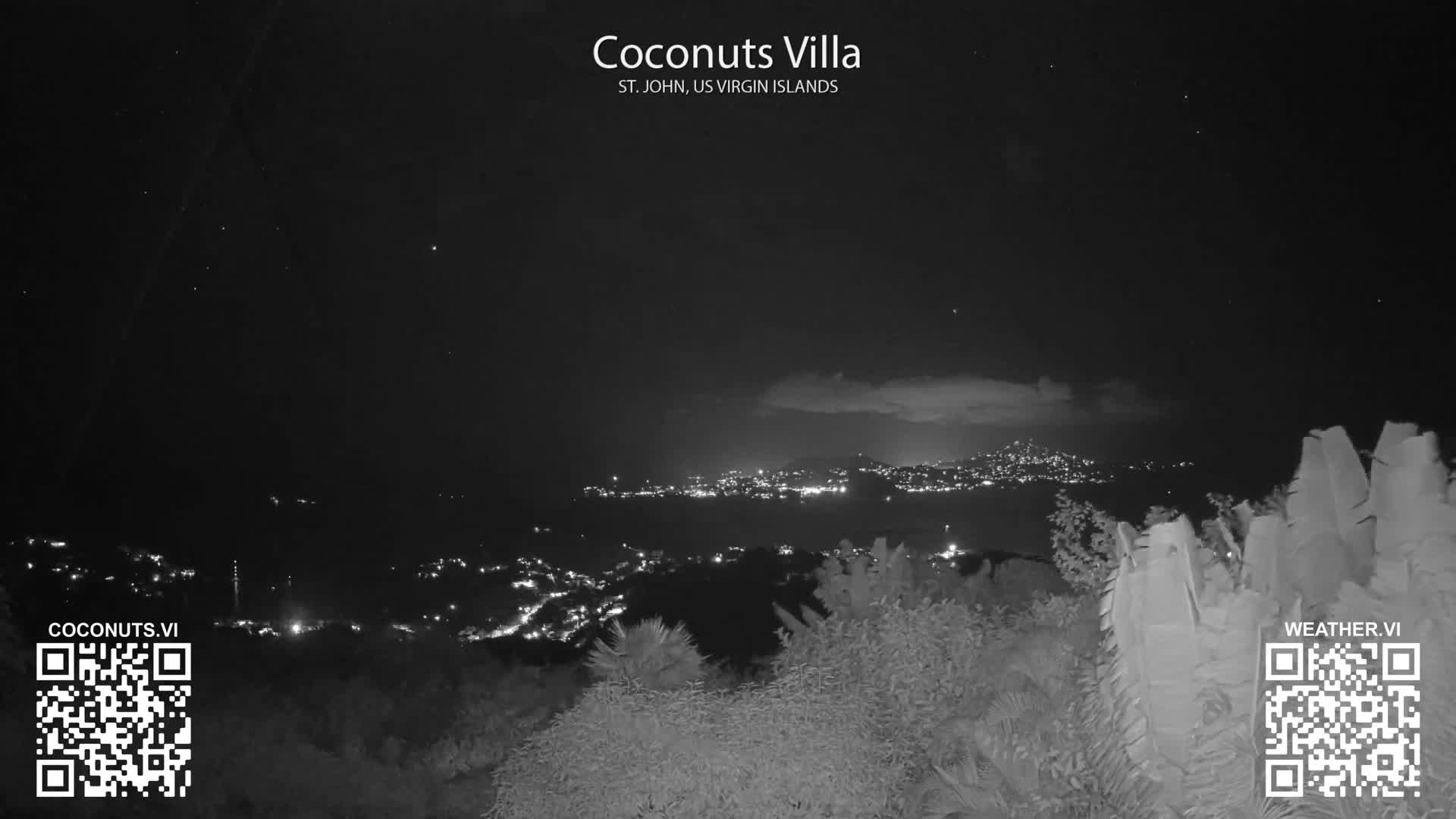 A black and white nighttime view shows city lights twinkling across a body of water from a hillside covered in vegetation, under a partly cloudy sky.
