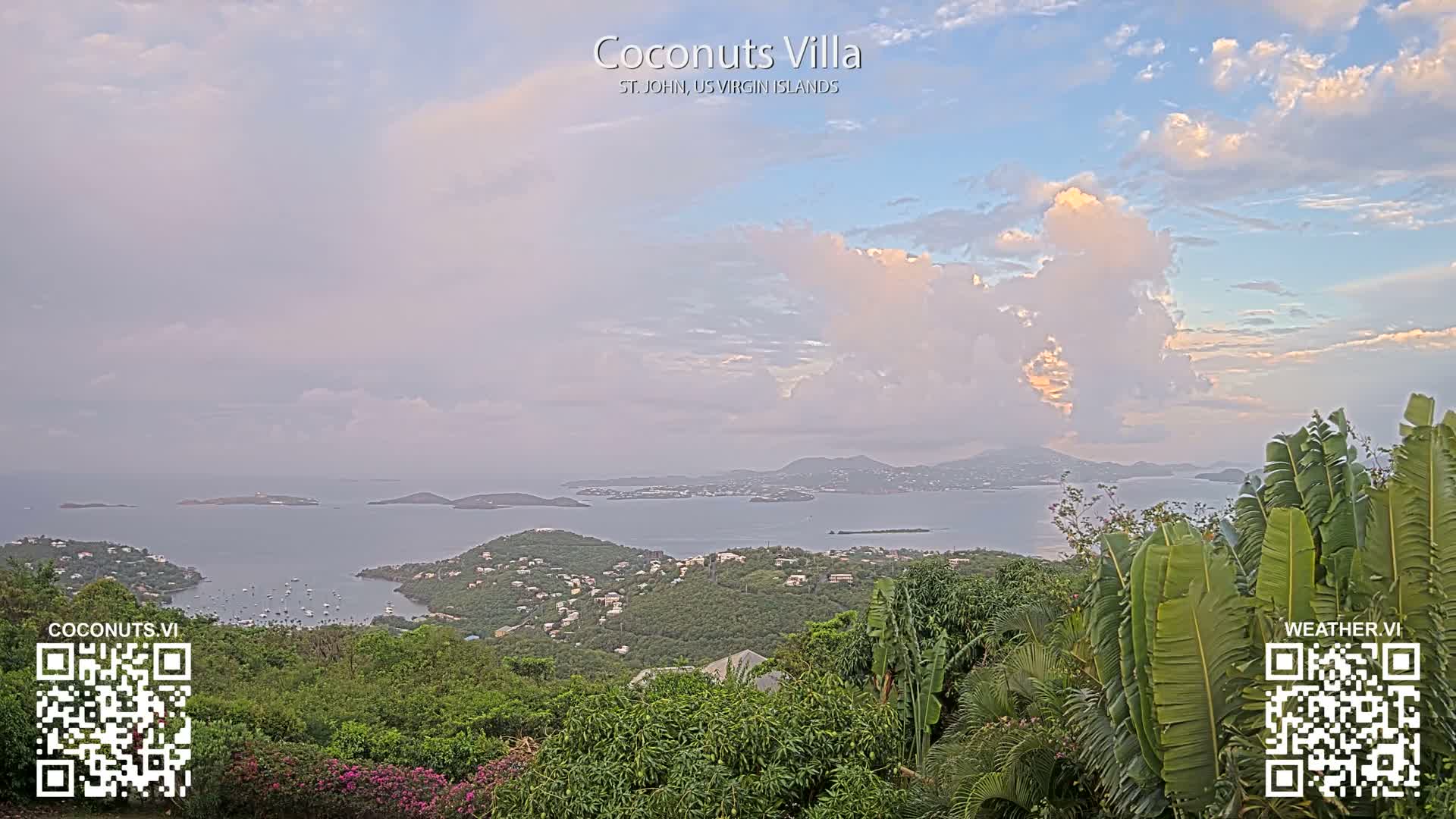 A black and white nighttime view shows city lights twinkling across a body of water from a hillside covered in vegetation, under a partly cloudy sky.