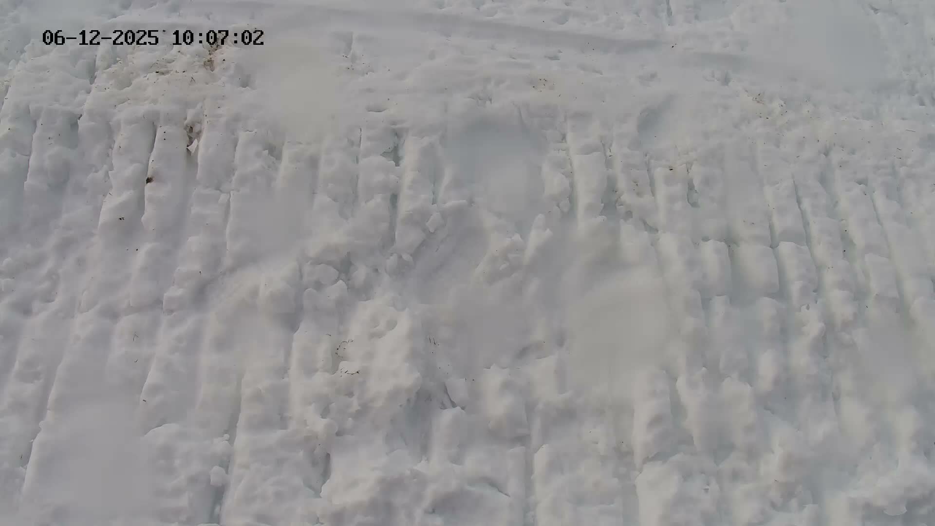 The image displays a snow-covered ground with uneven ridges and some visible debris, suggesting cold, wintery conditions.