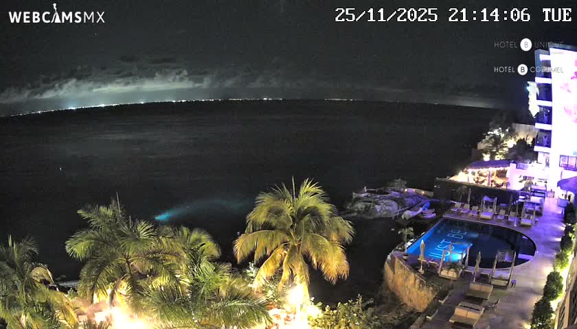 An overcast night reveals a dark ocean with a distant illuminated coastline, overlooked by brightly lit palm trees, a glowing blue infinity pool, and a multi-story resort building.