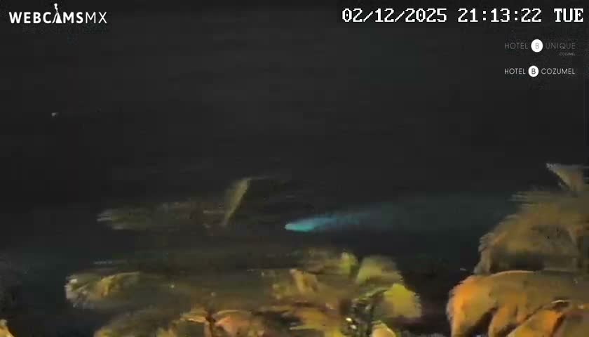 Cozumel Hotel B and Hotel Unique Coast Live Cam - Zona Hotelera Sur, San Mugiel de Cozumel, Municipio de Cozumel, Quintana Roo, Mexico