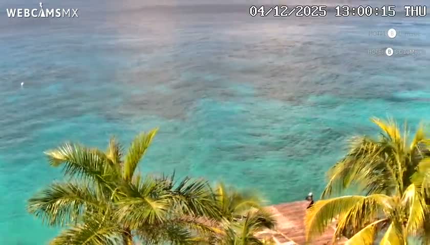 Cozumel Hotel B and Hotel Unique Coast Live Cam - Zona Hotelera Sur, San Mugiel de Cozumel, Municipio de Cozumel, Quintana Roo, Mexico