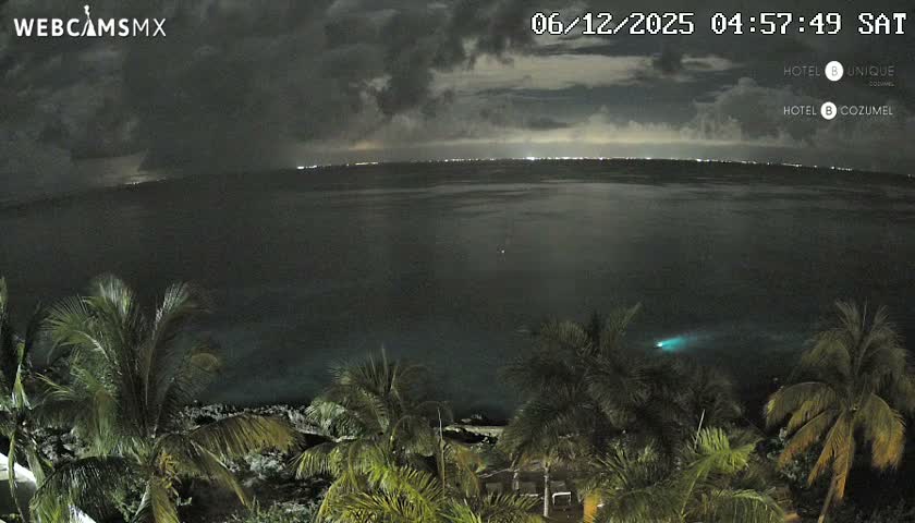 An overcast early morning reveals a dark ocean with palm trees in the foreground, distant lights along the horizon, and a distinct blue-green glow on the water's surface.