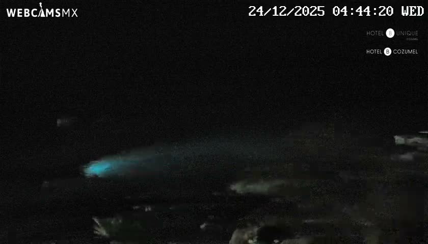 An overcast early morning reveals a dark ocean with palm trees in the foreground, distant lights along the horizon, and a distinct blue-green glow on the water's surface.
